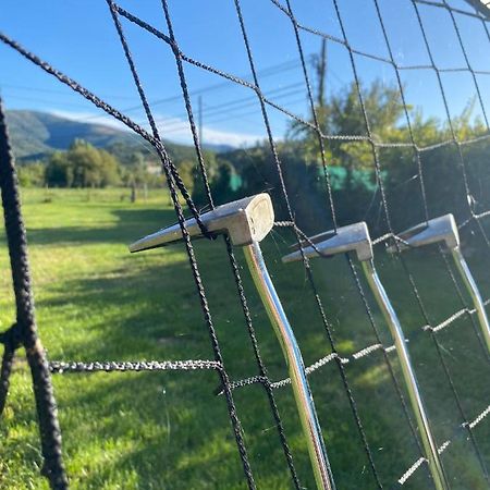 Quinta Do Alagao Leilighet Coja Eksteriør bilde